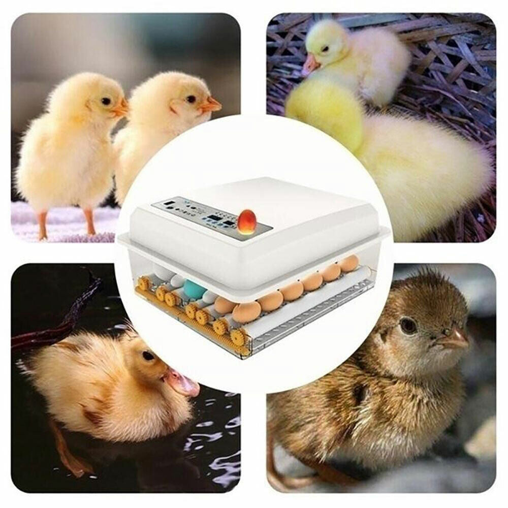 24 Eggs Incubator Fully Automatic Digital Led Turning Chicken Duck Eggs Poultry