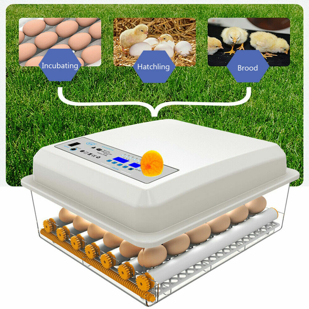 24 Eggs Incubator Fully Automatic Digital Led Turning Chicken Duck Eggs Poultry