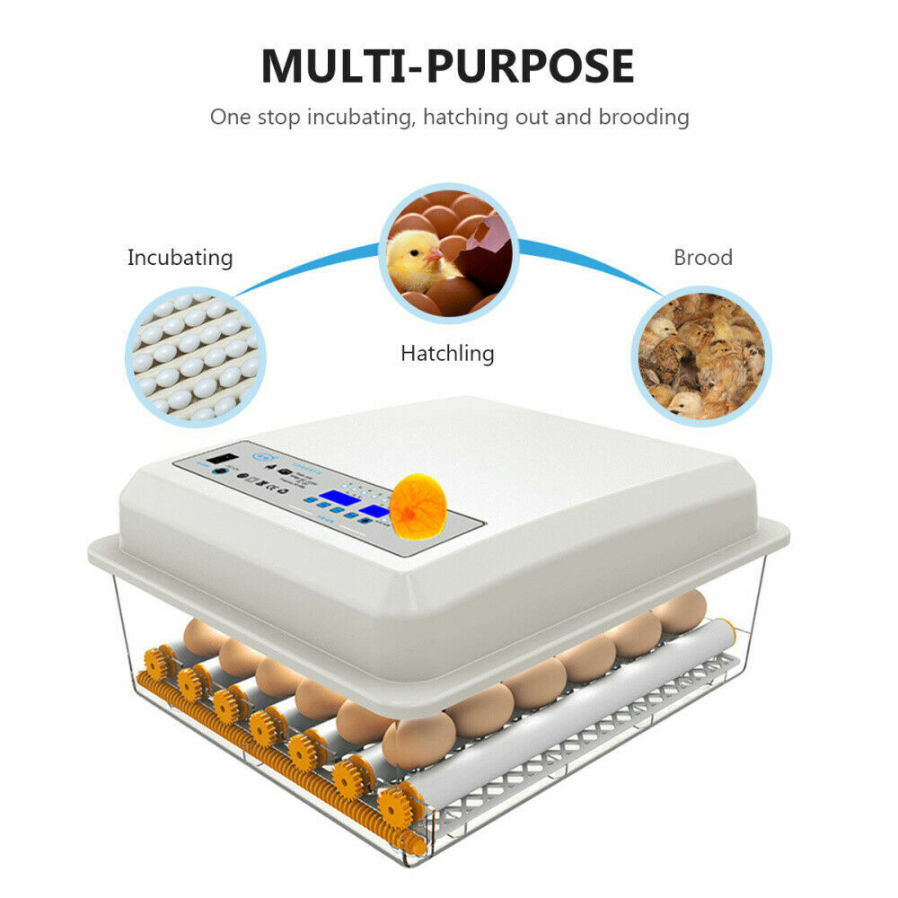 24 Eggs Incubator Fully Automatic Digital Led Turning Chicken Duck Eggs Poultry