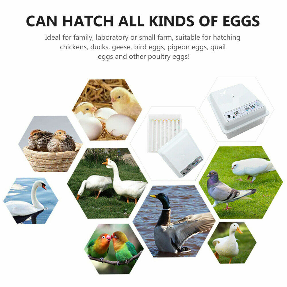 24 Eggs Incubator Fully Automatic Digital Led Turning Chicken Duck Eggs Poultry