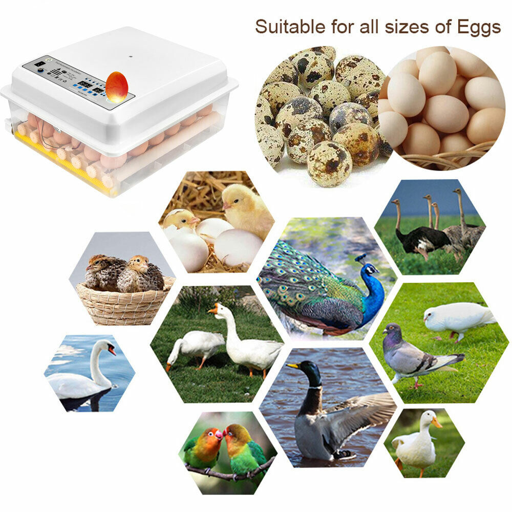 24 Eggs Incubator Fully Automatic Digital Led Turning Chicken Duck Eggs Poultry