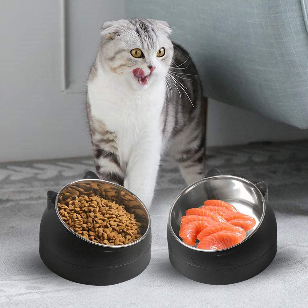 200ml Pet Cat Dog Bowl Stainless Steel Tilted Water Food Feeder No Slip Raised