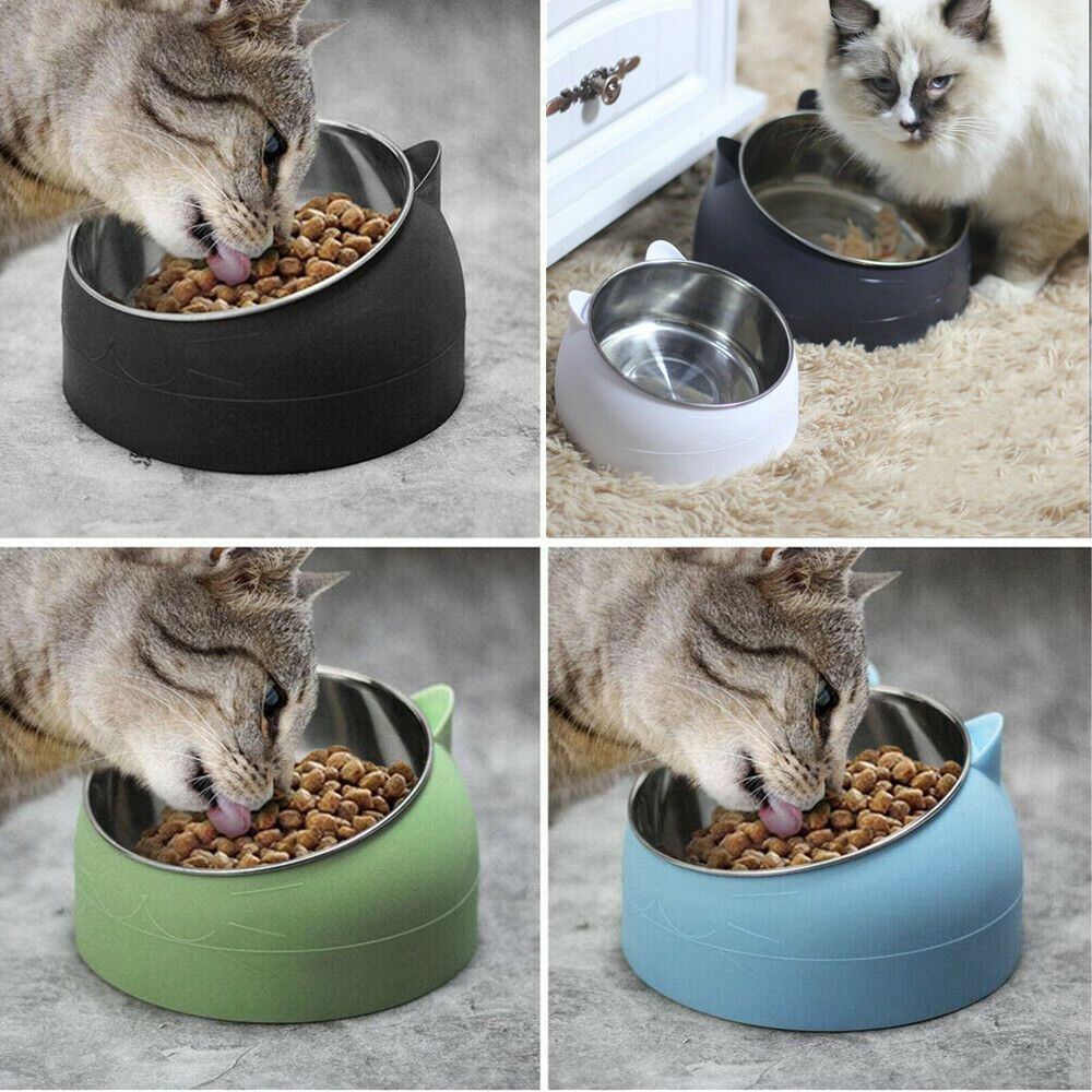 200ml Pet Cat Dog Bowl Stainless Steel Tilted Water Food Feeder No Slip Raised