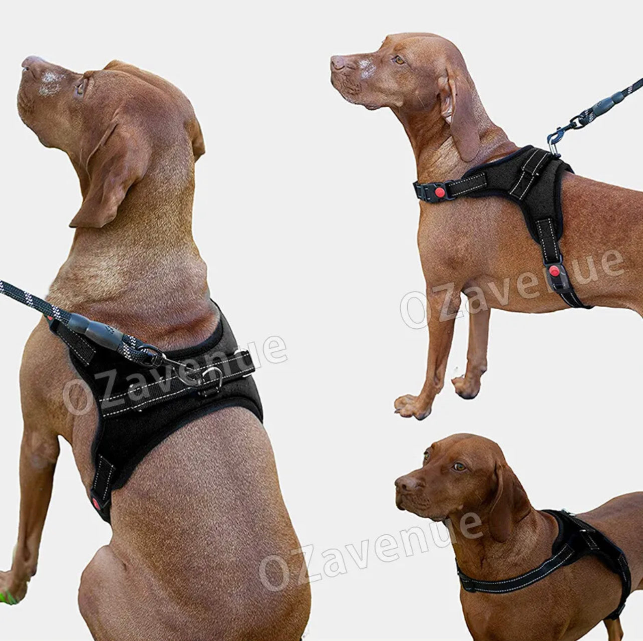 No-pull Dog Harness Pet Puppy Large Dog Vest Adjustable Padded Handle S->XL MEL