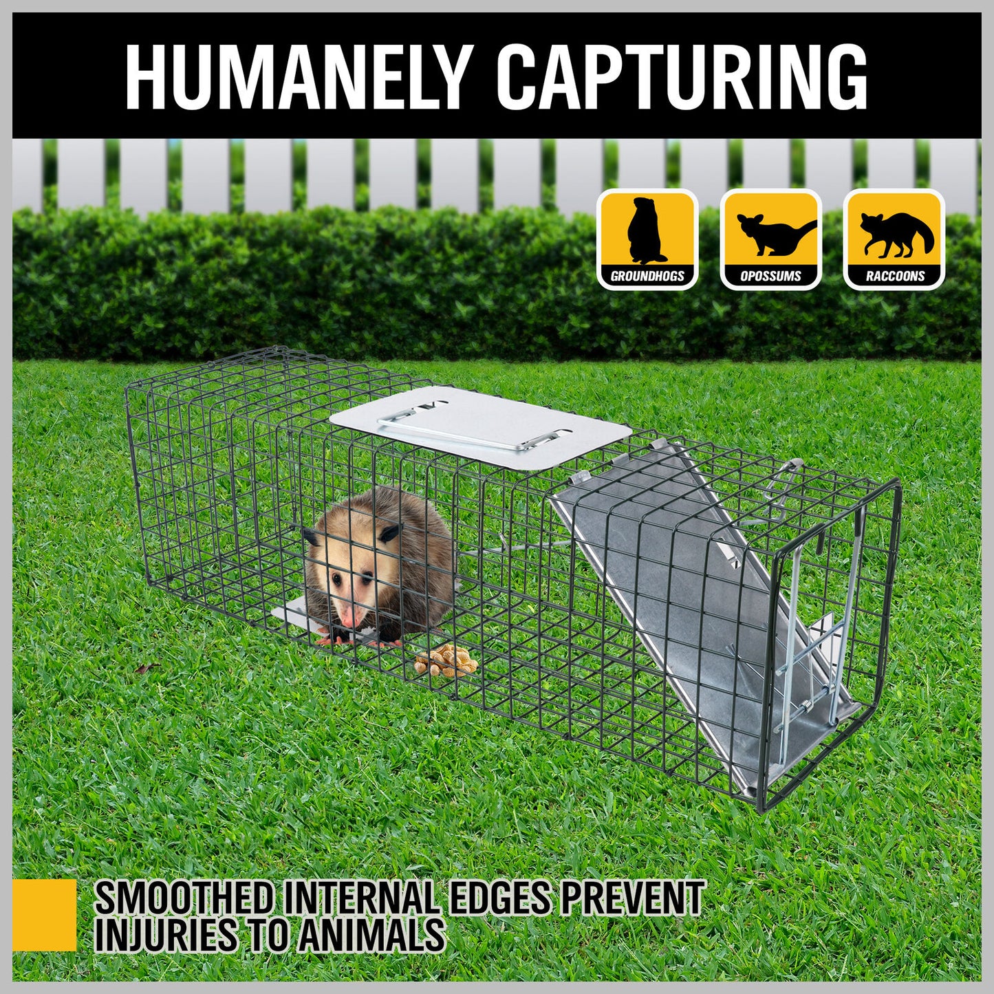 2 Size Animal Trap Cage Humane Live Steel Catch Possum Fox Rat Cat Rabbit Bird