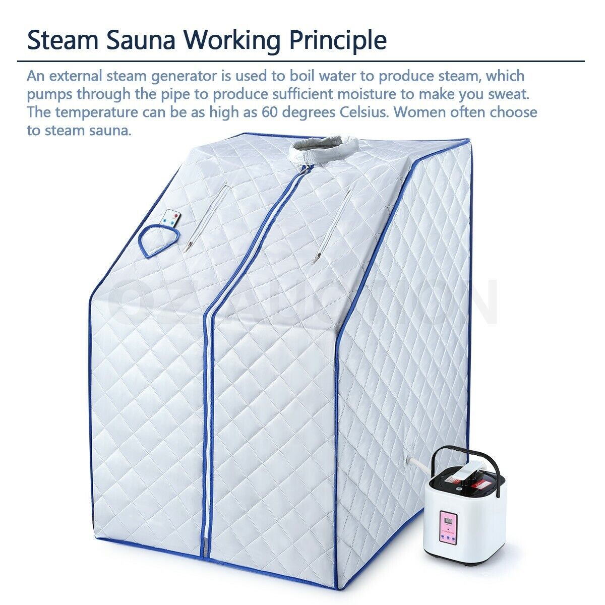 Portable Steam Sauna Tent Home Steamer Skin Body Spa Kit W/Chair+Remote Control