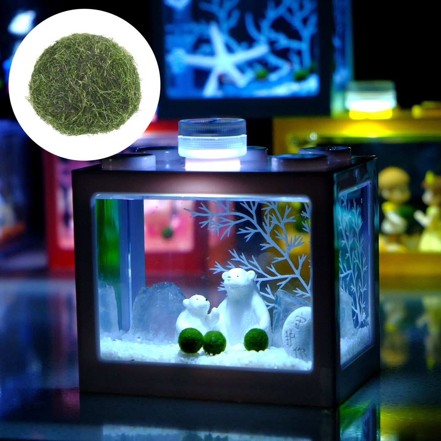 1-10Pcs Marimo Moss Ball Cladophora Live Aquarium Plant Fish Aquarium Decor 1cm