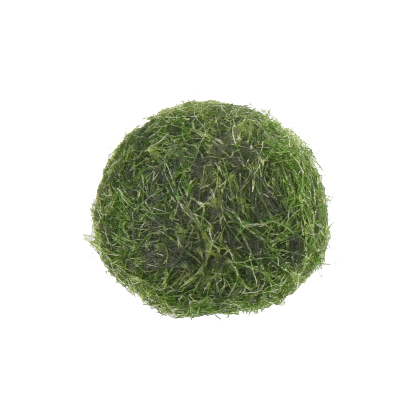 1-10Pcs Marimo Moss Ball Cladophora Live Aquarium Plant Fish Aquarium Decor 1cm