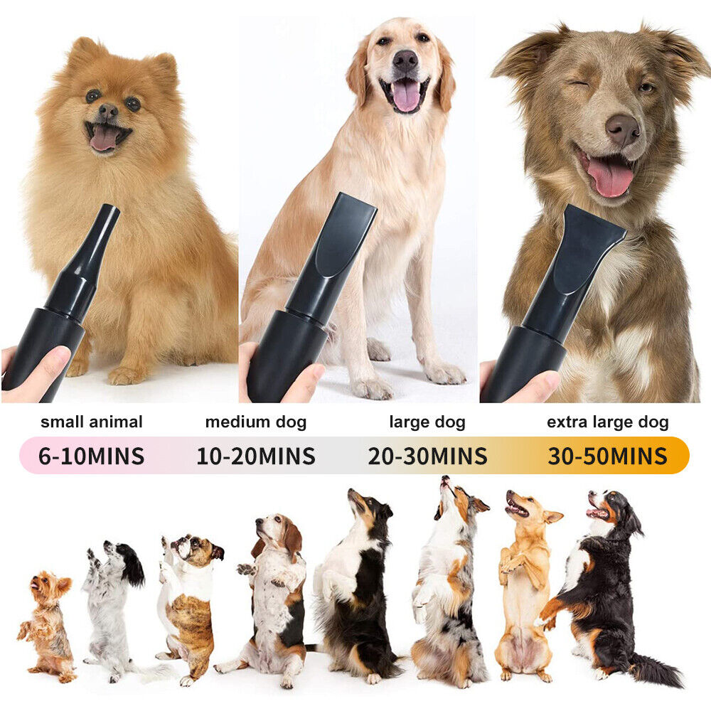 Pet Dryer Dog Hair Dryer Grooming Tool Adjustable Hairdryer Blow Blower Heater