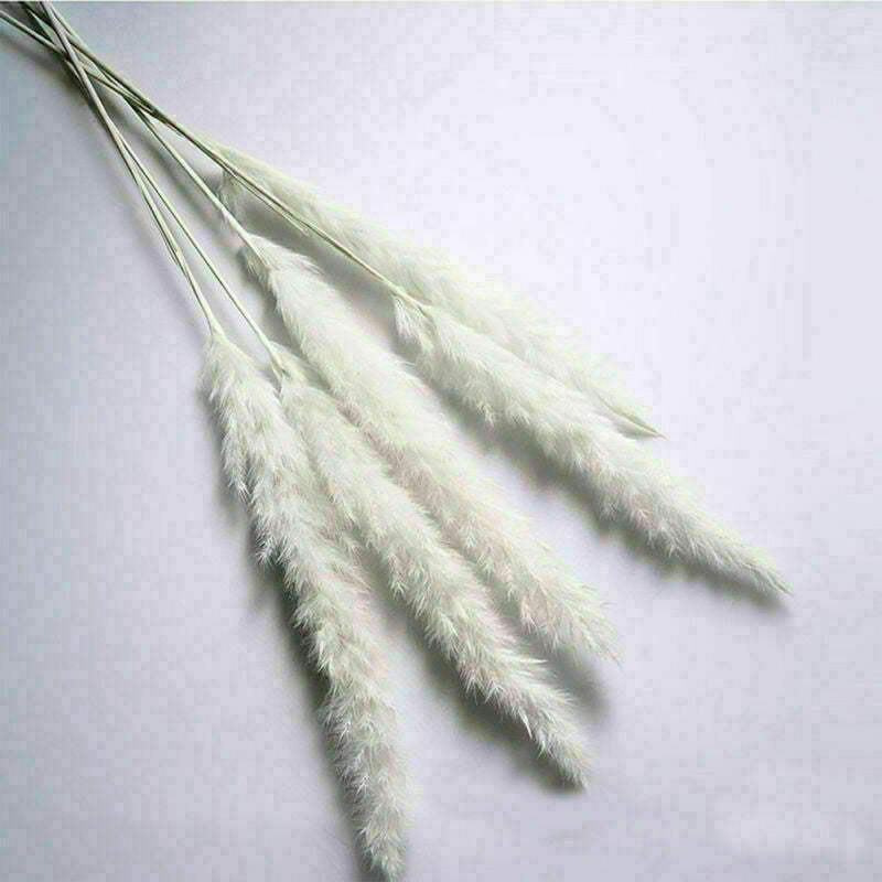 15Pcs Artificial Natural Dried Pampas Grass Flower Bunch Wedding Bouquet Decor