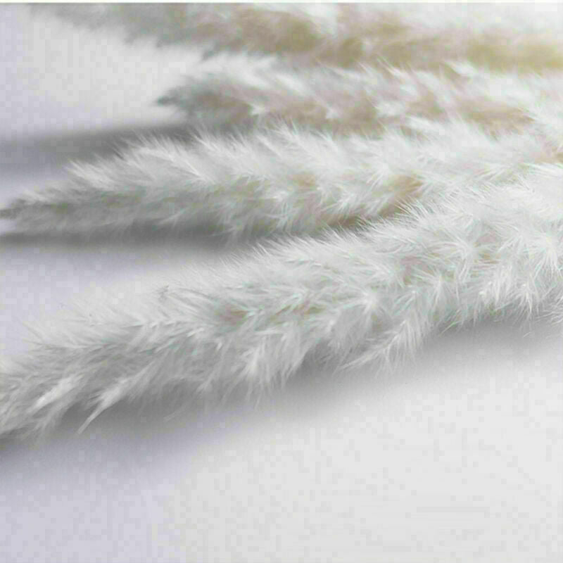 15Pcs Artificial Natural Dried Pampas Grass Flower Bunch Wedding Bouquet Decor