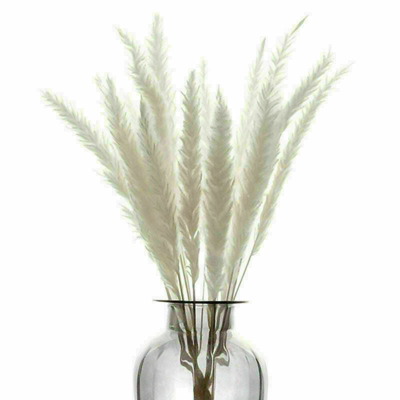 15Pcs Artificial Natural Dried Pampas Grass Flower Bunch Wedding Bouquet Decor